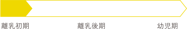 アイテム活躍時期の図